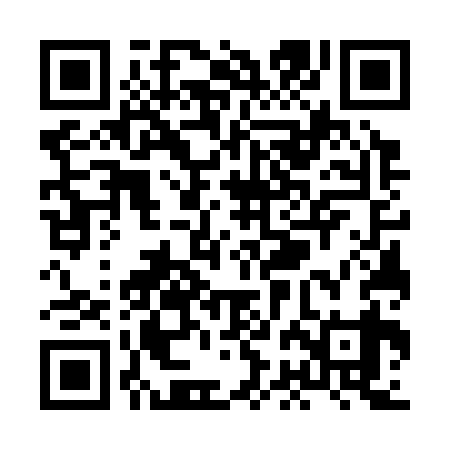 QR code for XBG339