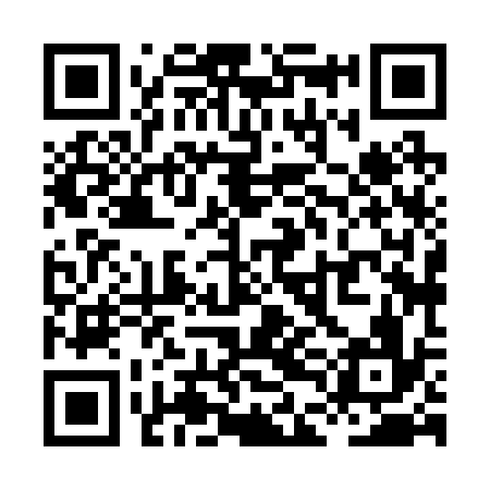 QR code for XDH236