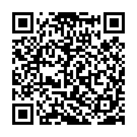 QR code for XDI495