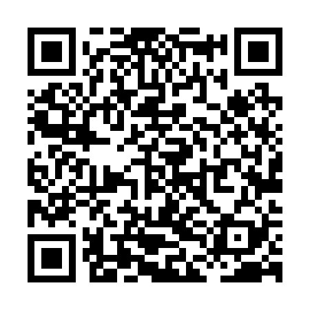 QR code for XDL229