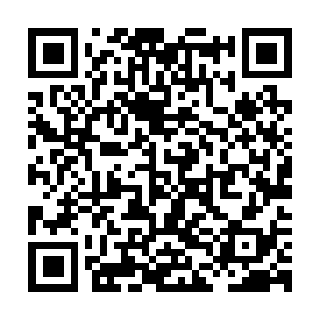 QR code for XDL238