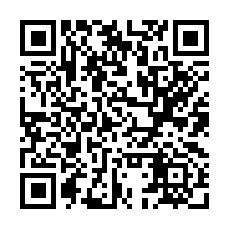QR code for XDZ393