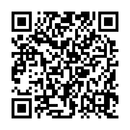 QR code for XFI387