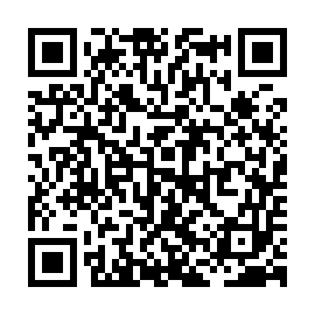 QR code for XFS953