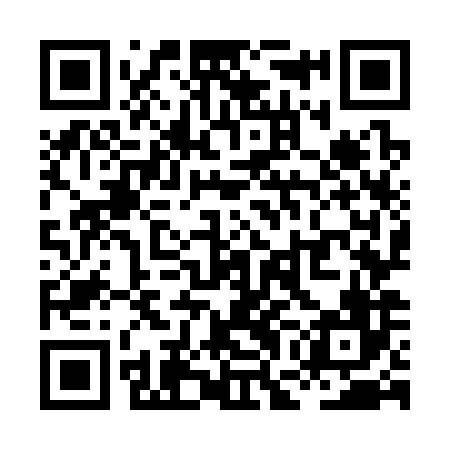 QR code for XGO386