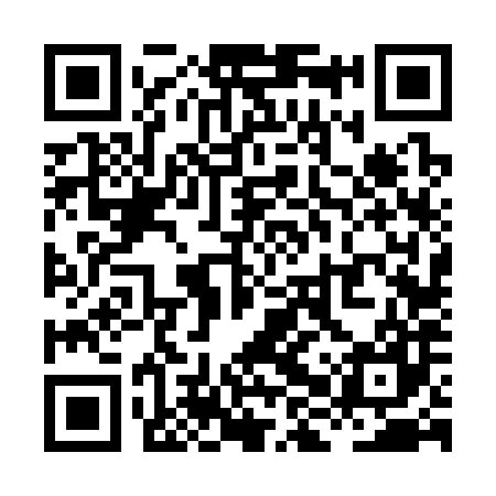 QR code for XHV387