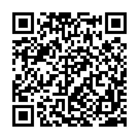 QR code for XIF596
