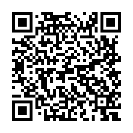 QR code for XIG913