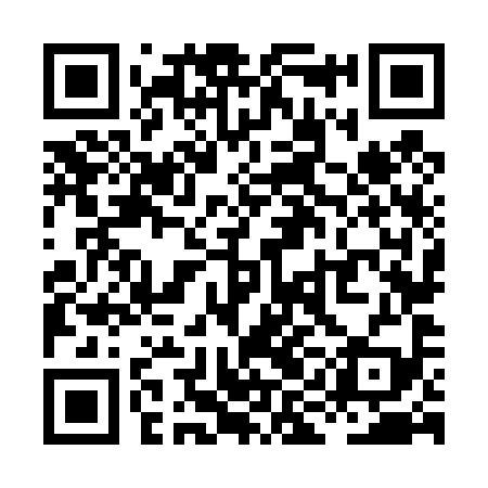 QR code for XIN499