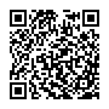 QR code for XIX347