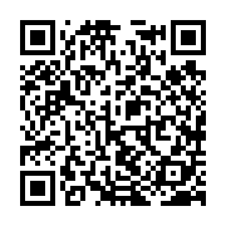 QR code for XIX608