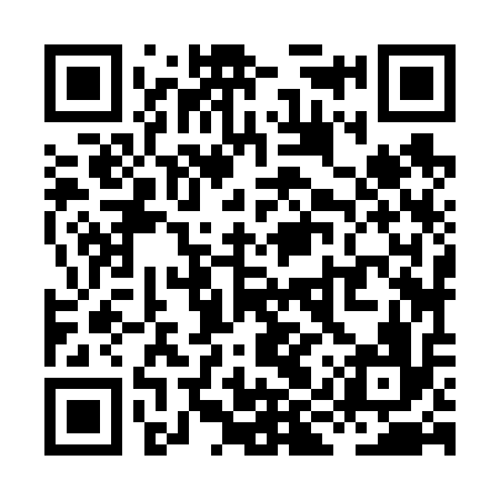 QR code for XIZ616