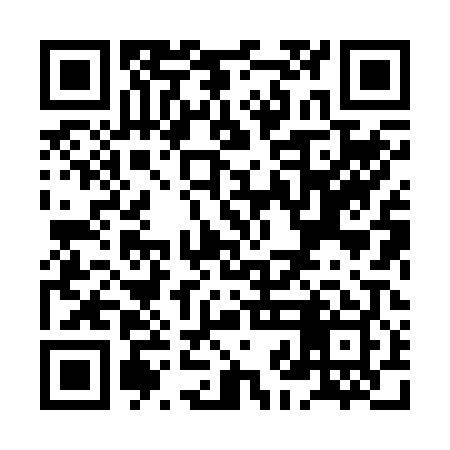 QR code for XJH209