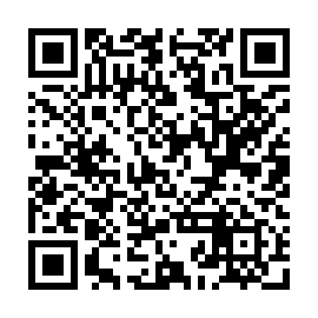 QR code for XJI919