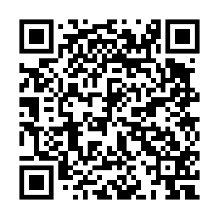 QR code for XJS413