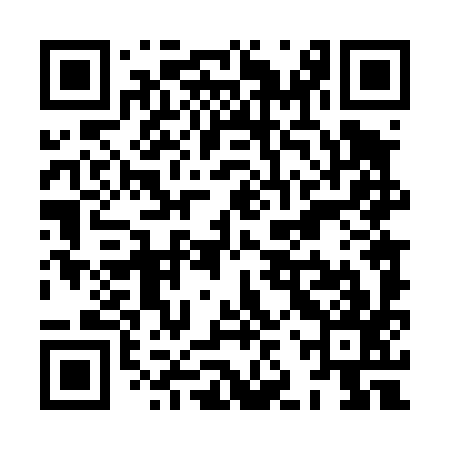QR code for XJT497