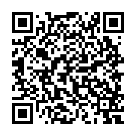 QR code for XKM383