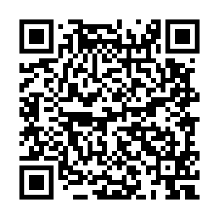 QR code for XLH595