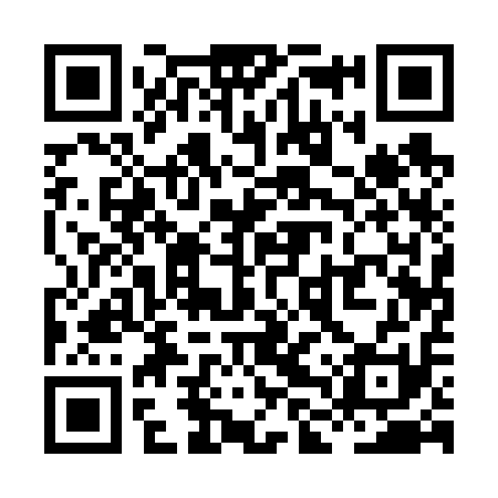 QR code for XLQ611