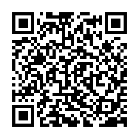 QR code for XLS919