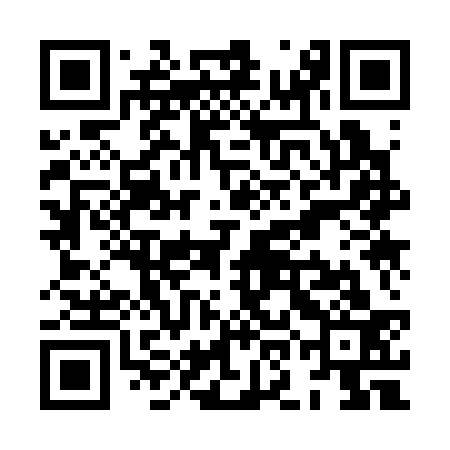 QR code for XOK333