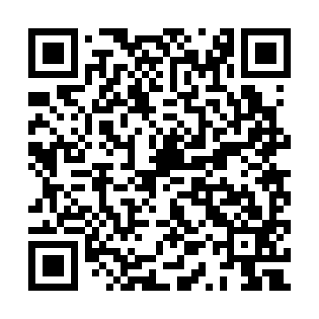 QR code for XQR393