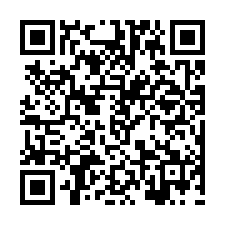 QR code for XVG381