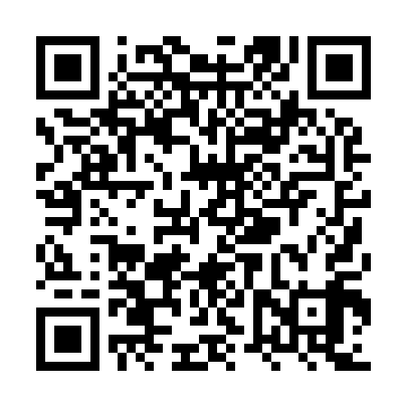 QR code for XVP919
