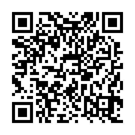 QR code for XVR233