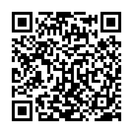 QR code for XVS273