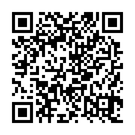 QR code for XVZ335
