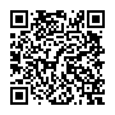 QR code for XXI413