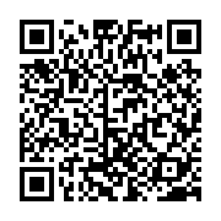 QR code for XYG229