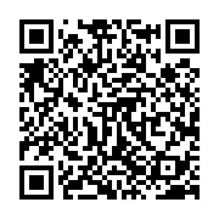 QR code for XZD539