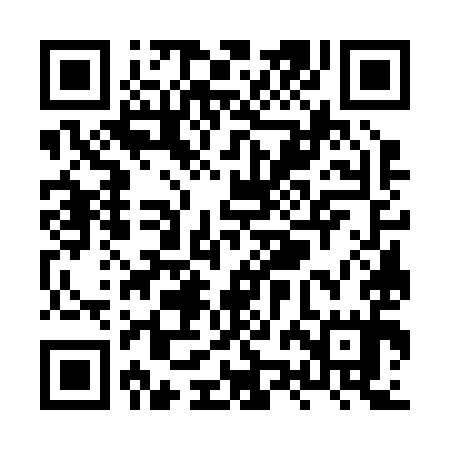 QR code for XZG295