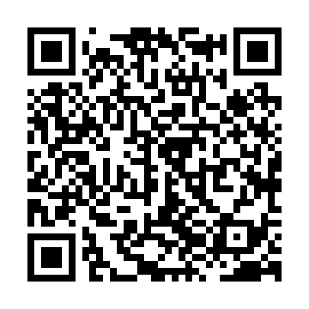 QR code for XZH239