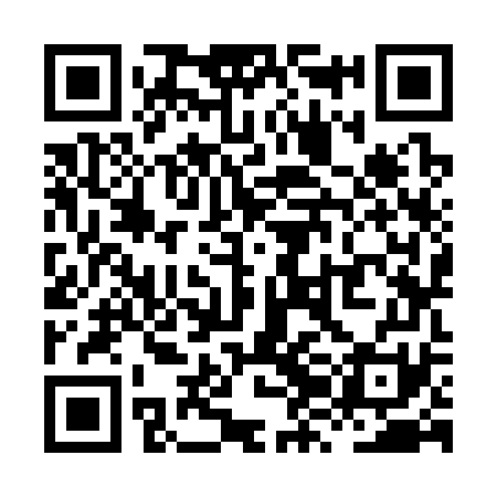 QR code for XZK371