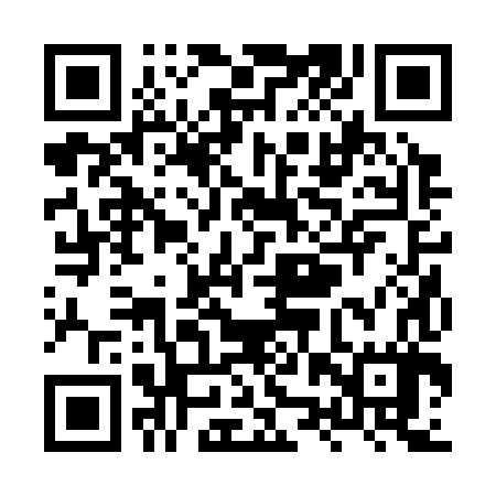 QR code for XZR387