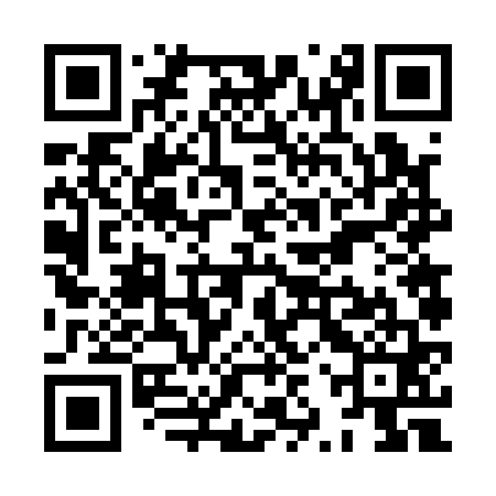 QR code for XZV161