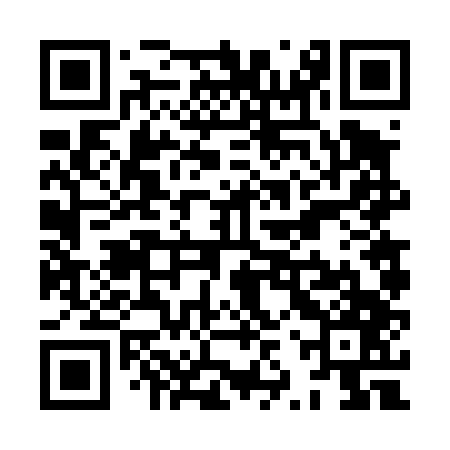 QR code for XZV447