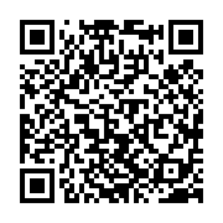 QR code for XZX419