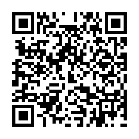 QR code for YAM317