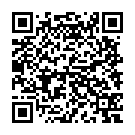QR code for YAN534