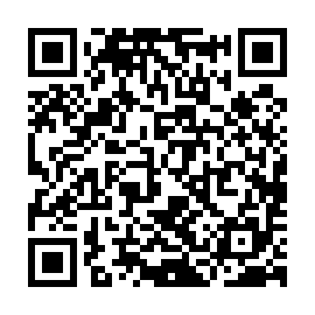 QR code for YCP595