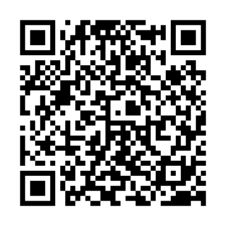 QR code for YDG271
