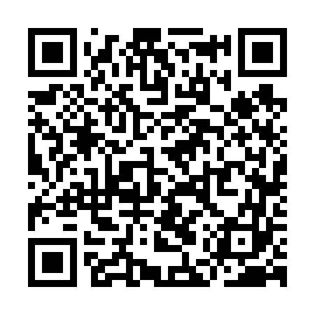 QR code for YEV663