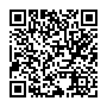 QR code for YEX333