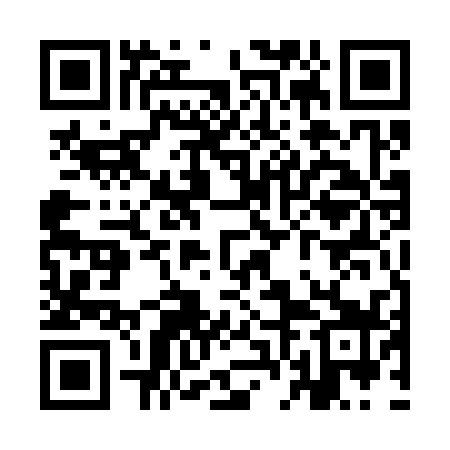 QR code for YFE339