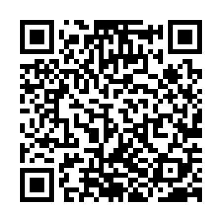 QR code for YHL309