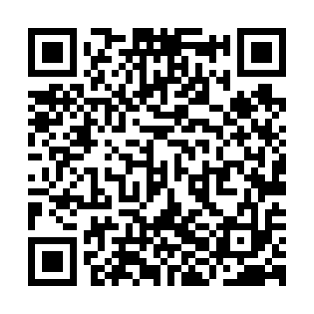 QR code for YHL613